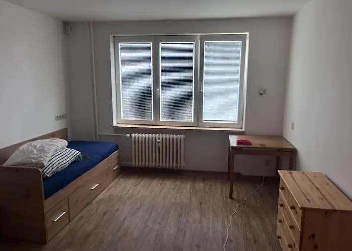 Lejlighed 3kk - Centrum Havirova *